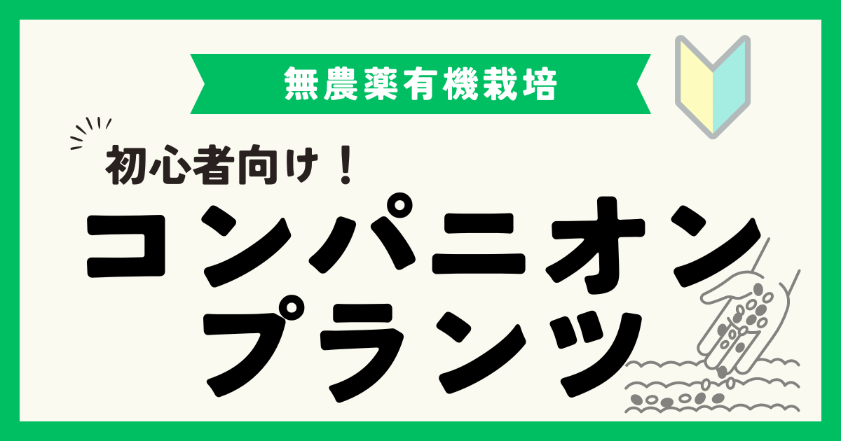 コンパニオンプランツの効果と一覧：おすすめ野菜の組み合わせを紹介！